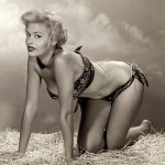 Pinup in the straw