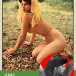 June Palmer card